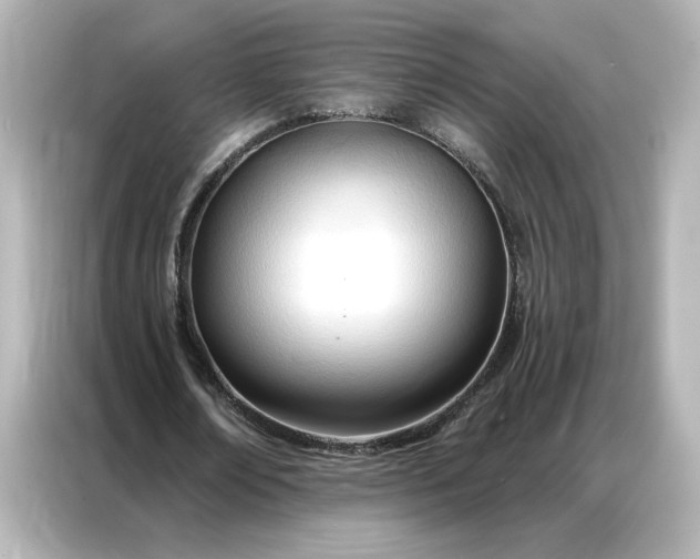 X0000086900674200704301017