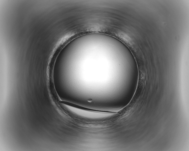 X0000086900678200704301017