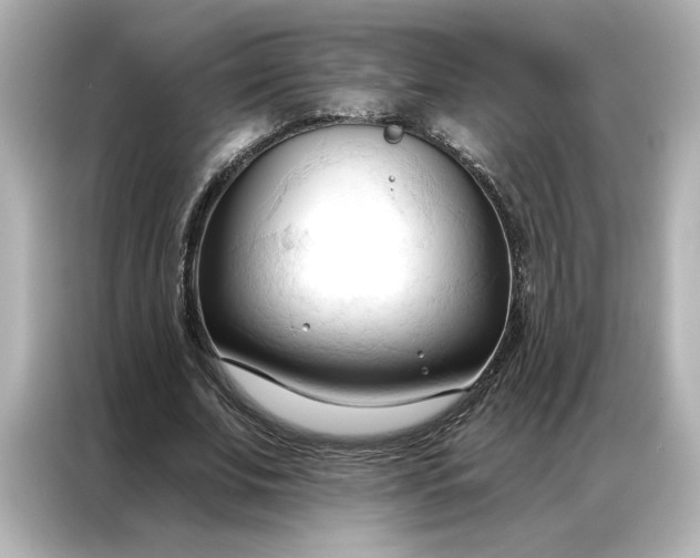 X0000086900679200704301017