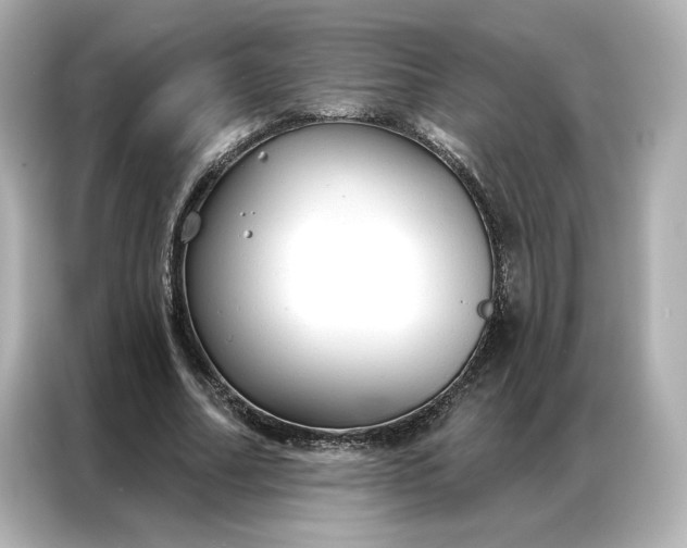 X0000086900682200704301017