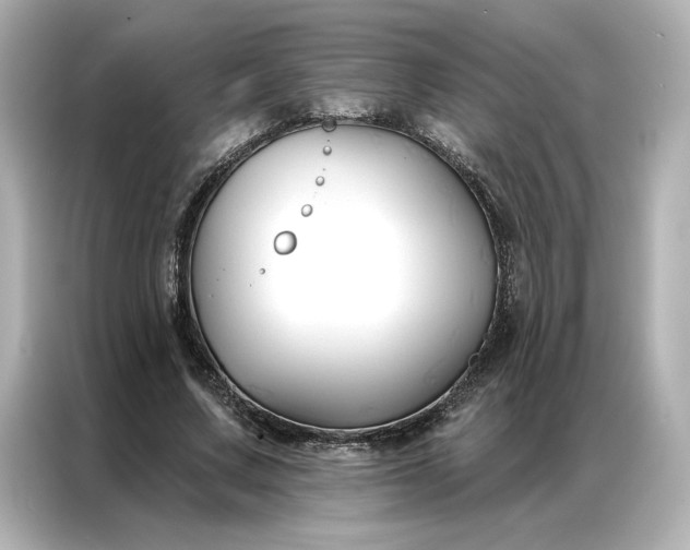 X0000086900683200704301017