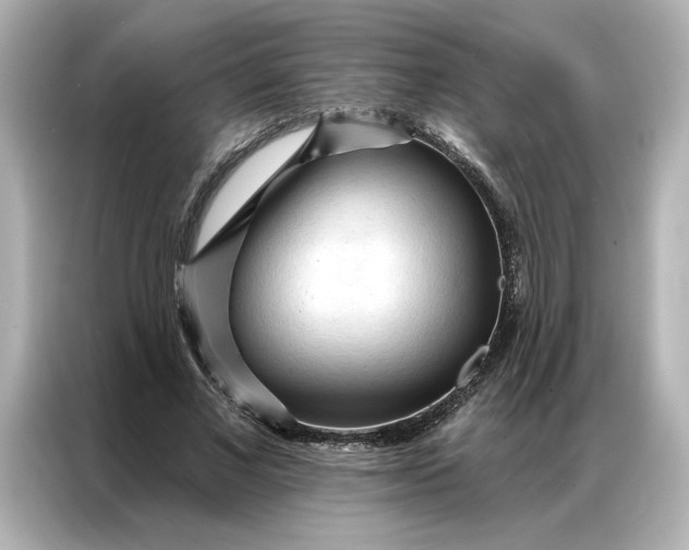 X0000086900685200704301017