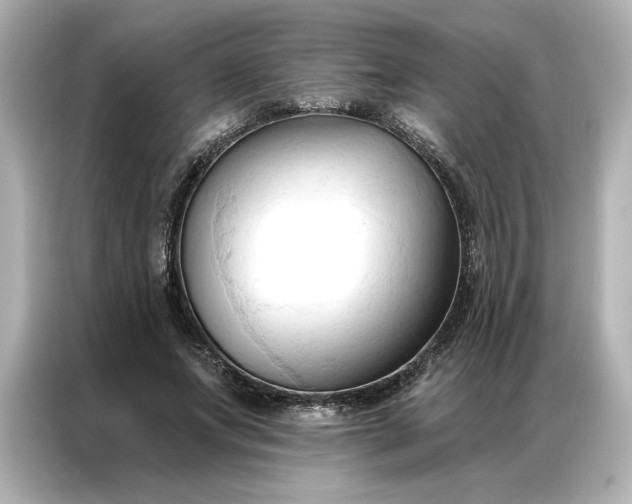 X0000086900687200704301017