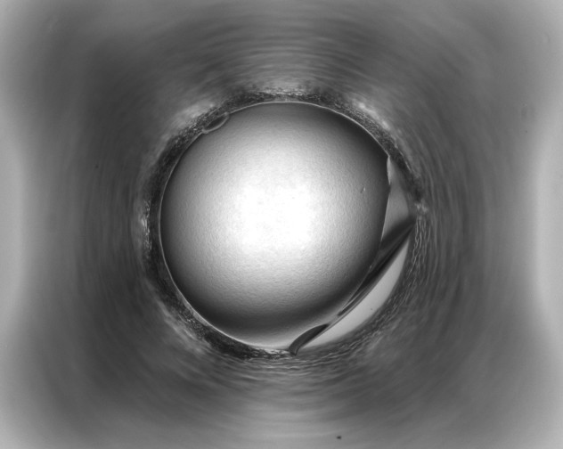 X0000086900688200704301017