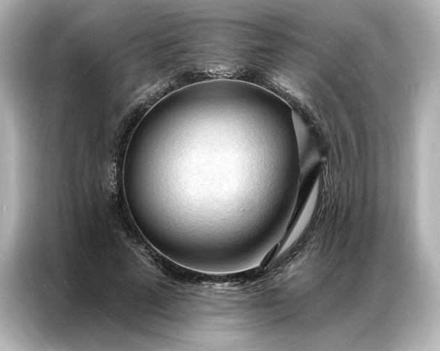 X0000086900689200704301017