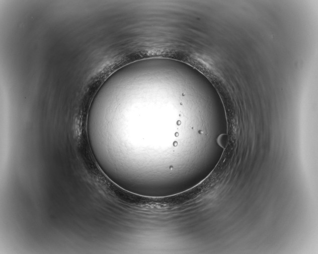 X0000086900691200704301017