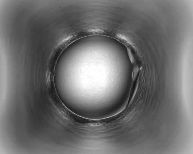 X0000086900692200704301017