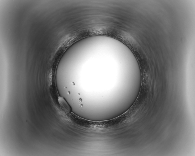 X0000086900694200704301017