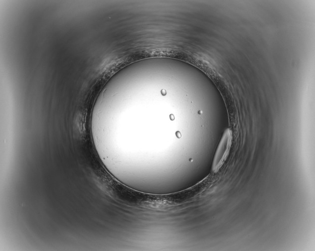 X0000086900695200704301017