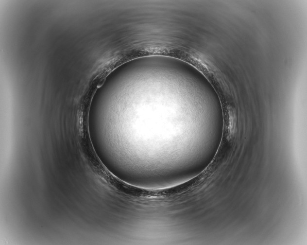 X0000086900696200704301017