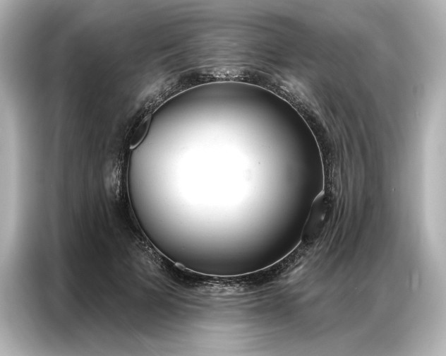 X0000086900697200704301017