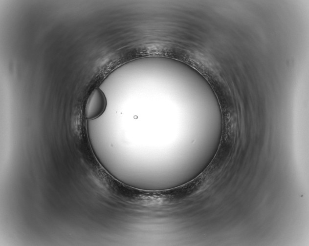 X0000086900698200704301017