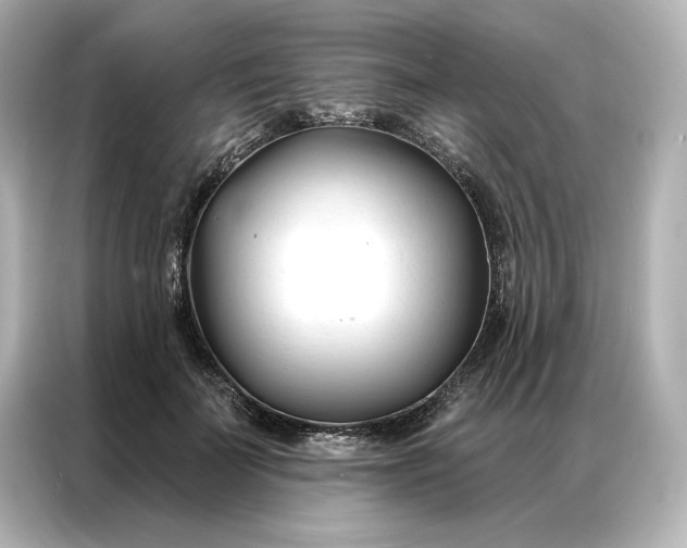 X0000086900699200704301017