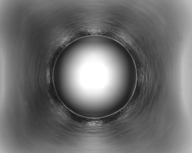 X0000086900700200704301017