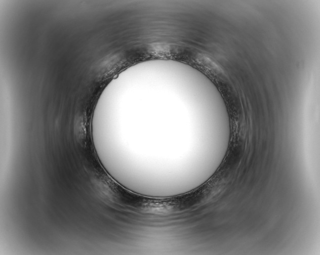 X0000086900702200704301017