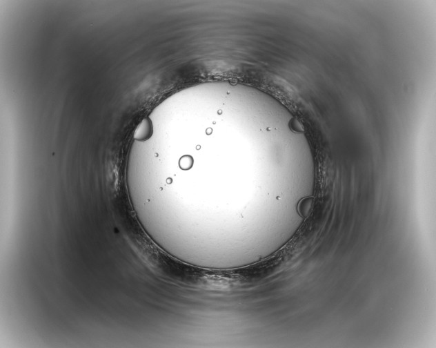 X0000086900703200704301017