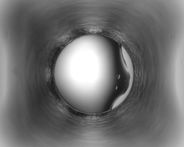 X0000086900704200704301017