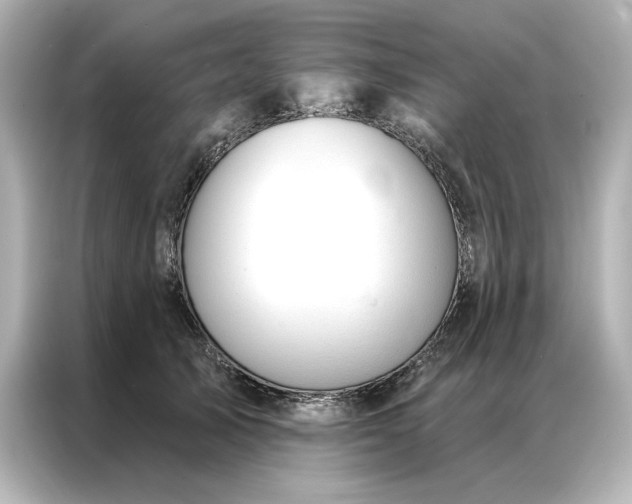 X0000086900705200704301017