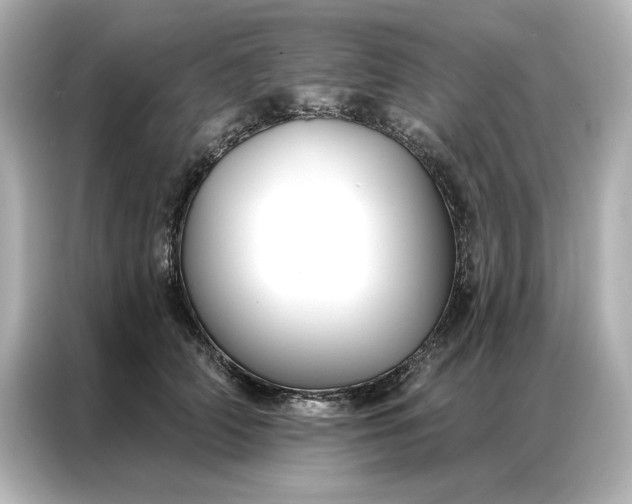 X0000086900706200704301017