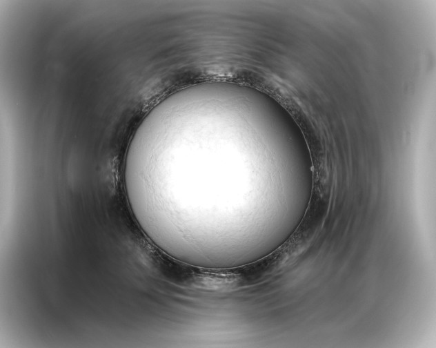 X0000086900707200704301017