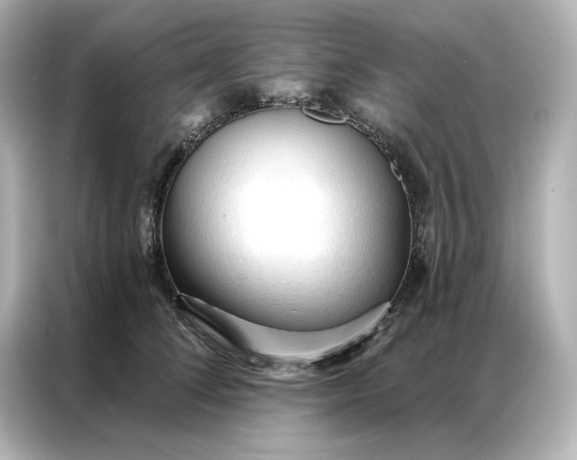 X0000086900708200704301017