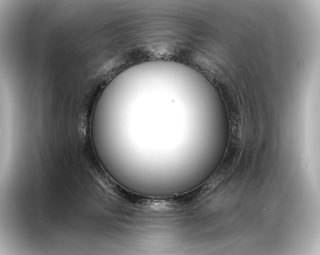 X0000086900710200704301017