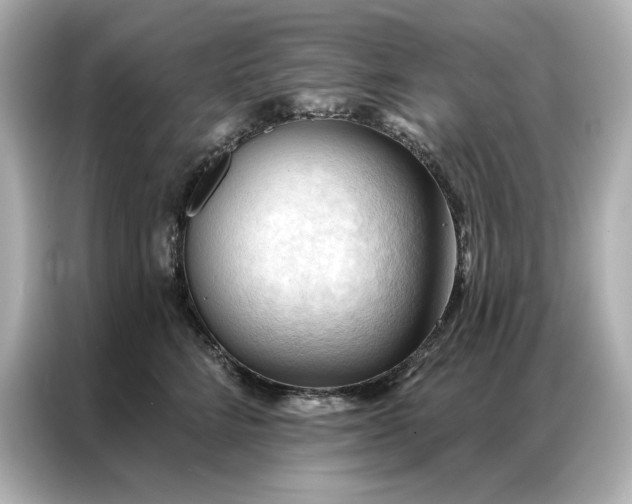 X0000086900712200704301017