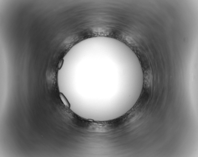 X0000086900713200704301017