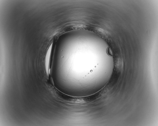 X0000086900715200704301017