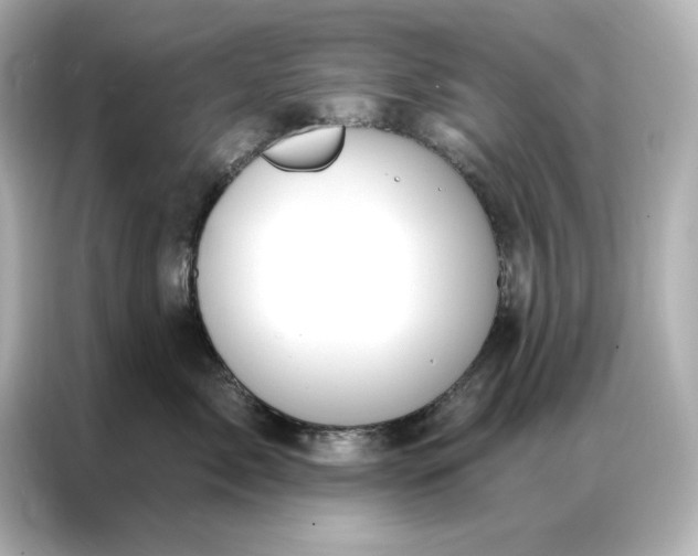 X0000086900717200704301017