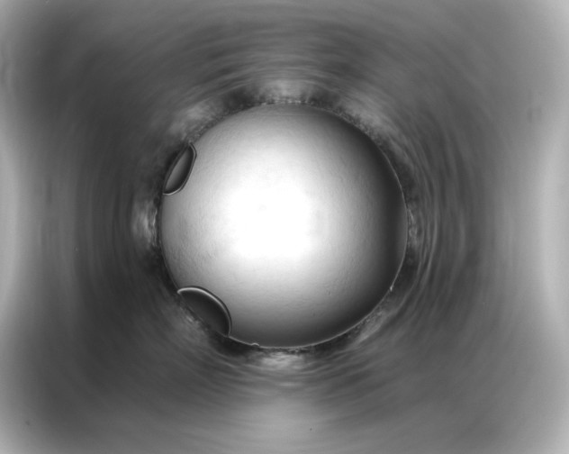 X0000086900718200704301017