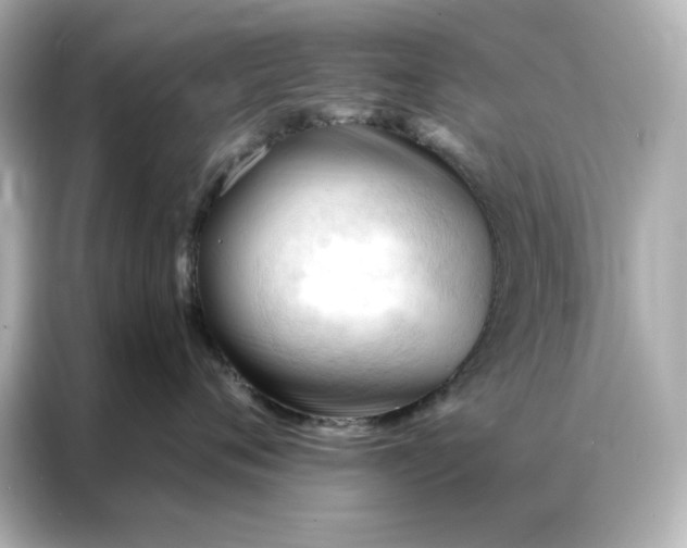 X0000086900720200704301017