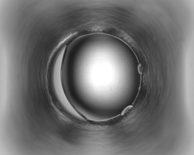 X0000086900722200704301016