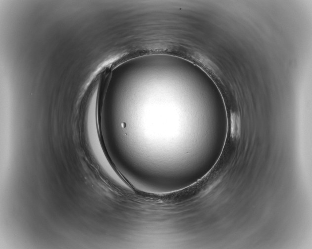 X0000086900723200704301016