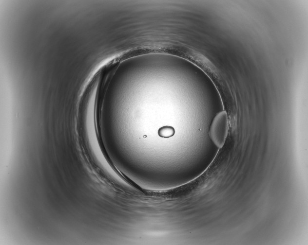 X0000086900724200704301016