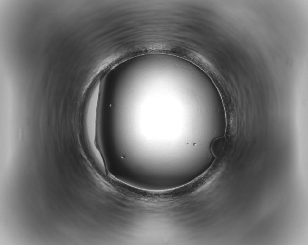 X0000086900725200704301016