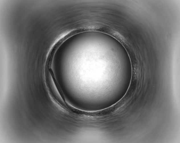 X0000086900726200704301016