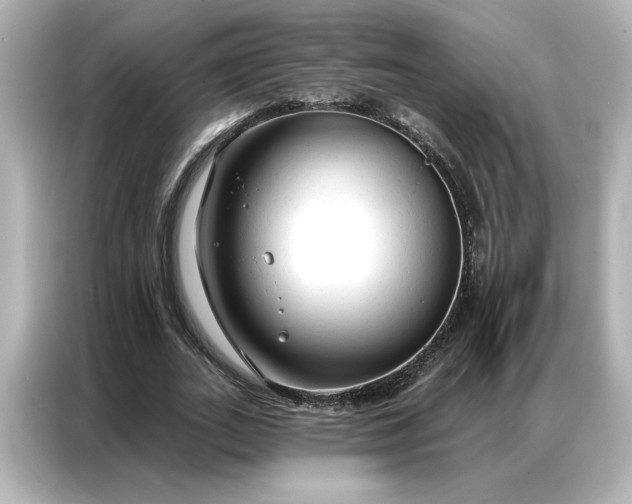 X0000086900727200704301016