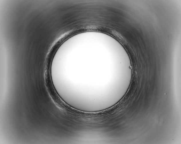 X0000086900728200704301016