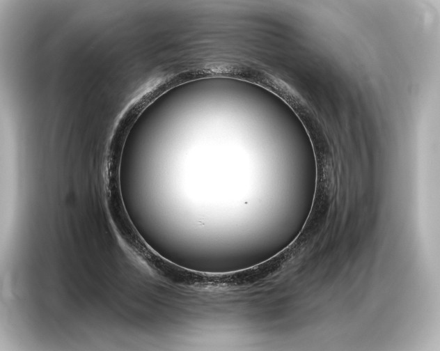 X0000086900730200704301016