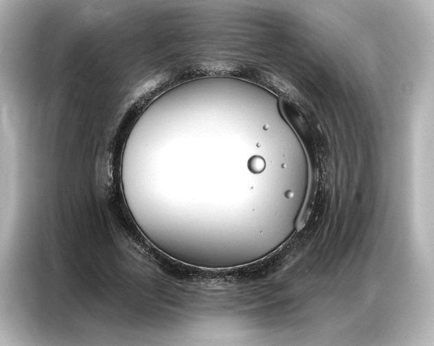 X0000086900731200704301016