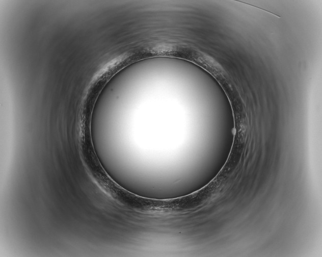 X0000086900732200704301016