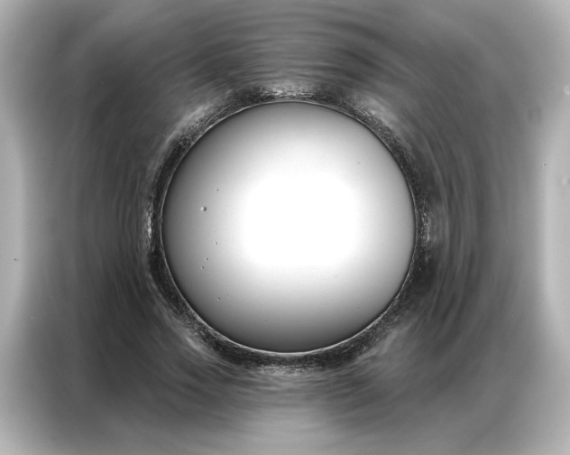 X0000086900733200704301016