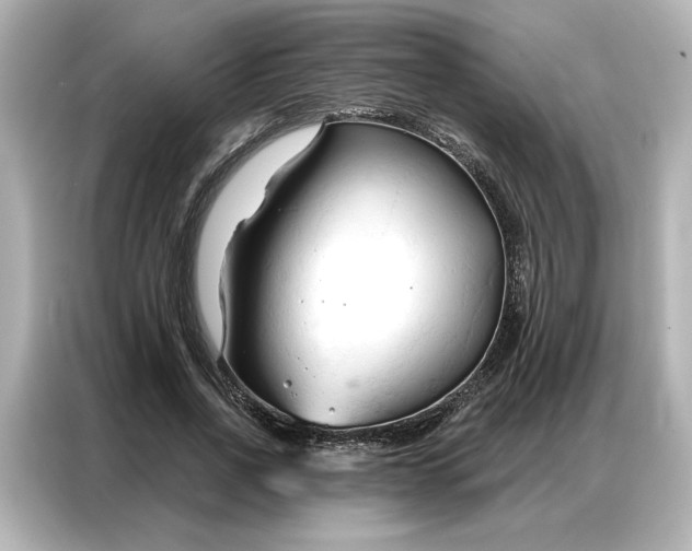 X0000086900734200704301016