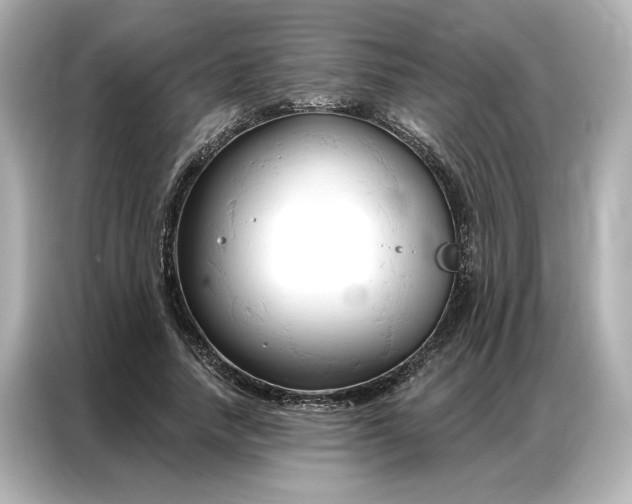 X0000086900738200704301016