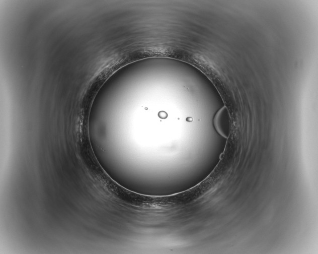 X0000086900739200704301016