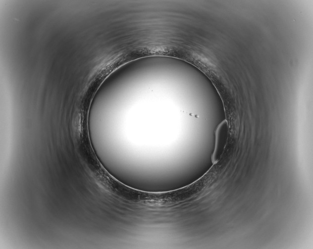 X0000086900740200704301016