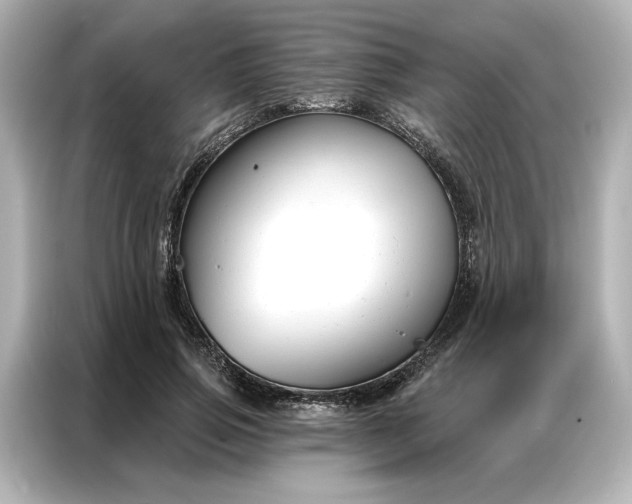 X0000086900741200704301016