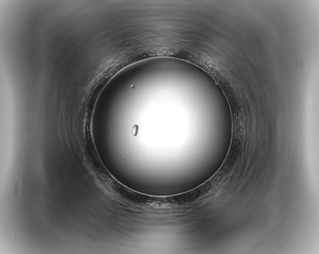 X0000086900742200704301016