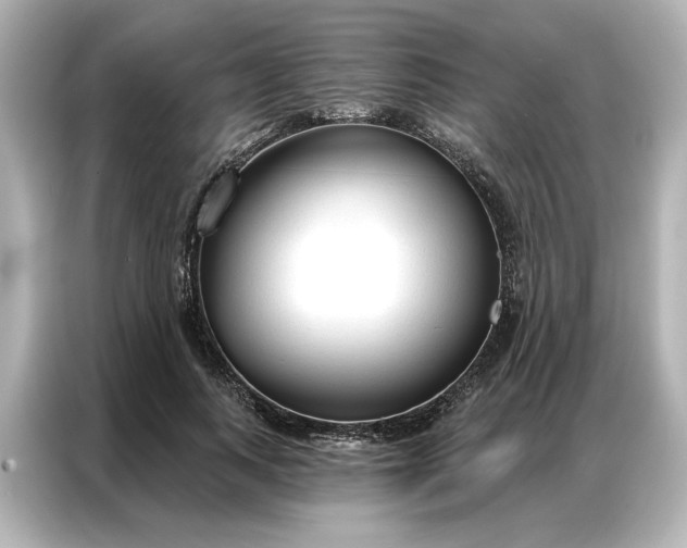 X0000086900743200704301016